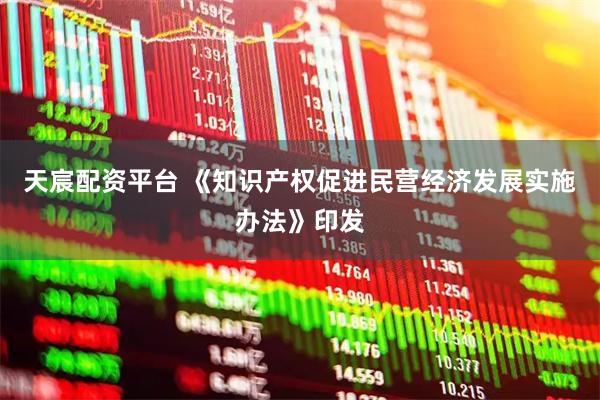 天宸配资平台 《知识产权促进民营经济发展实施办法》印发
