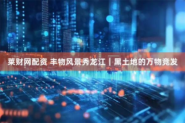 莱财网配资 丰物风景秀龙江｜黑土地的万物竞发