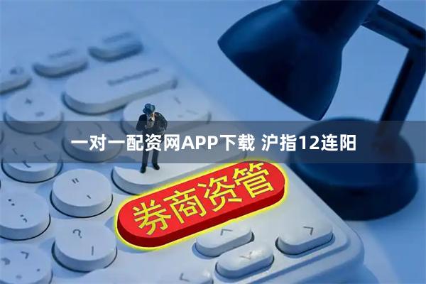 一对一配资网APP下载 沪指12连阳